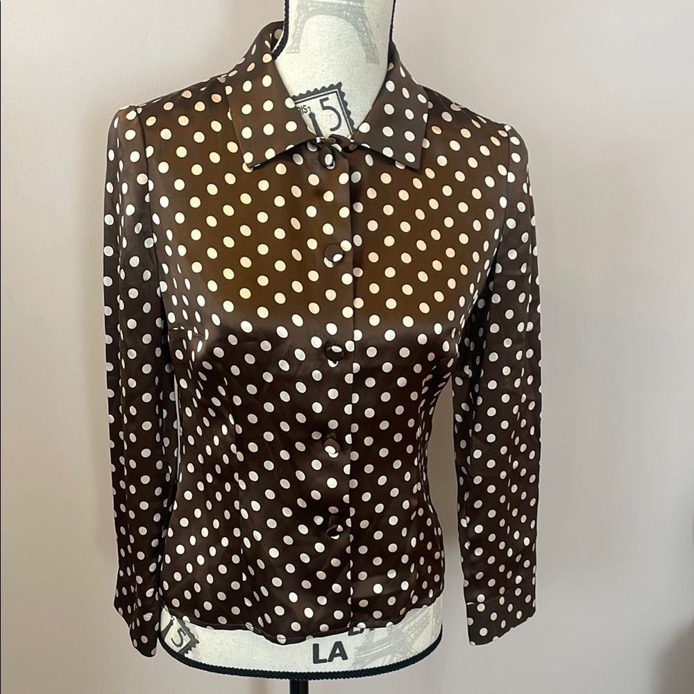 Silk Brown Polka Dot Blouse